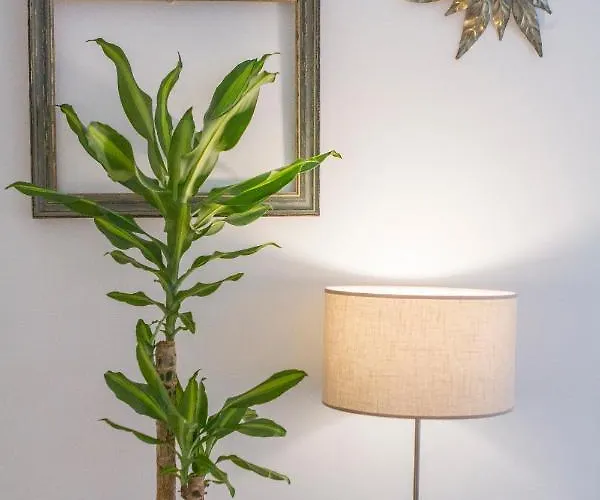 In Ribeira Neighborhood Διαμέρισμα